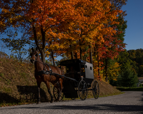 Amish Horse and Buggy Millersburg Ohio Fall 2022